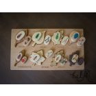 Wooden board - with leafs & bugs